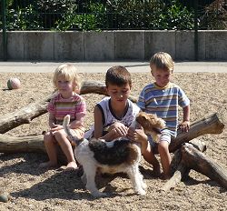 Bild: Kinder mit Drahthaar Foxterrier